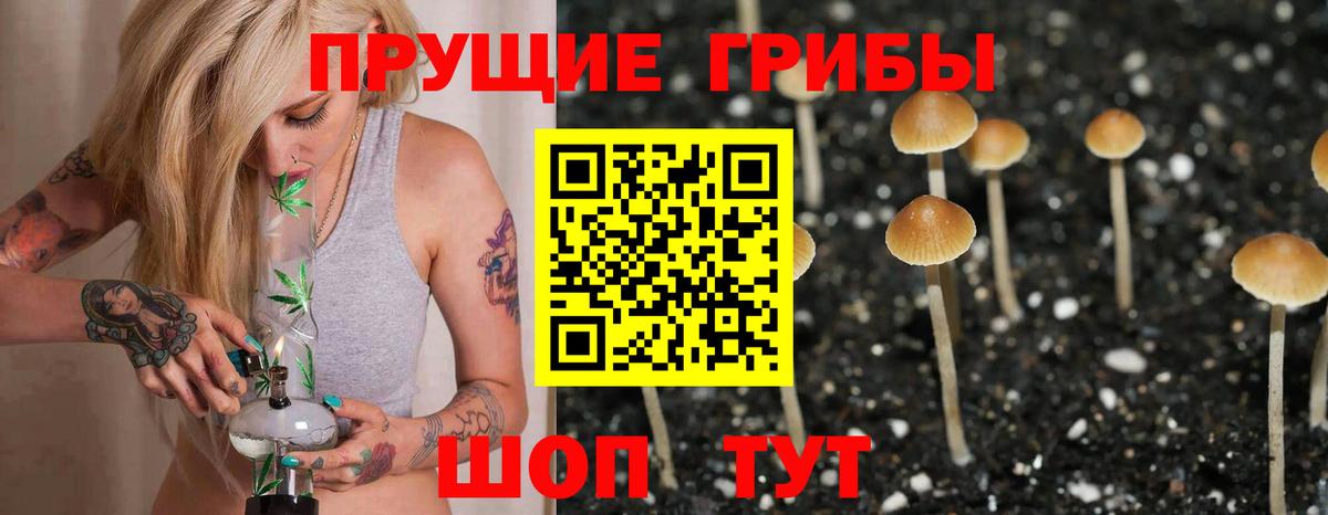 Галлюциногенные грибы MAGIC MUSHROOMS Магнитогорск