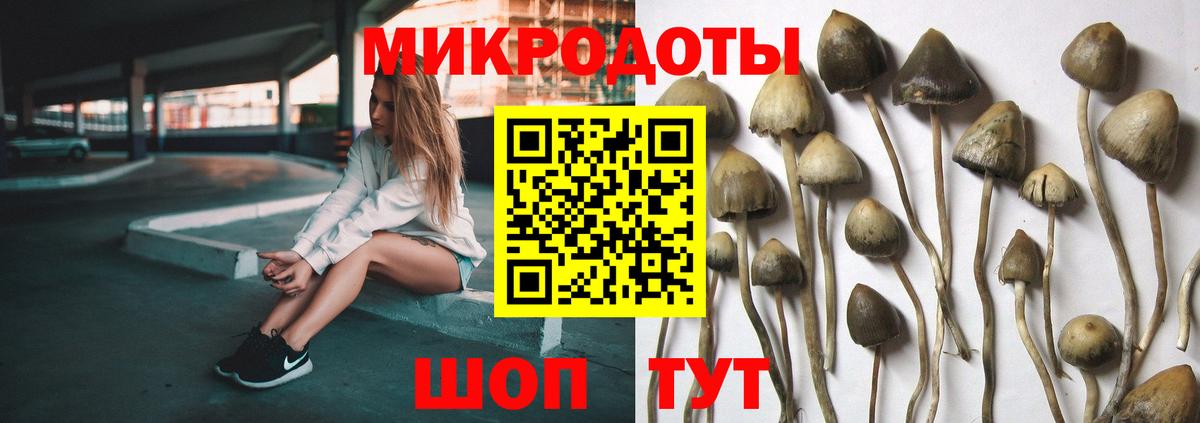 Магнитогорск  Псилоцибиновые грибы мицелий  Псилоцибиновые грибы прущие грибы  Вход с VPN 